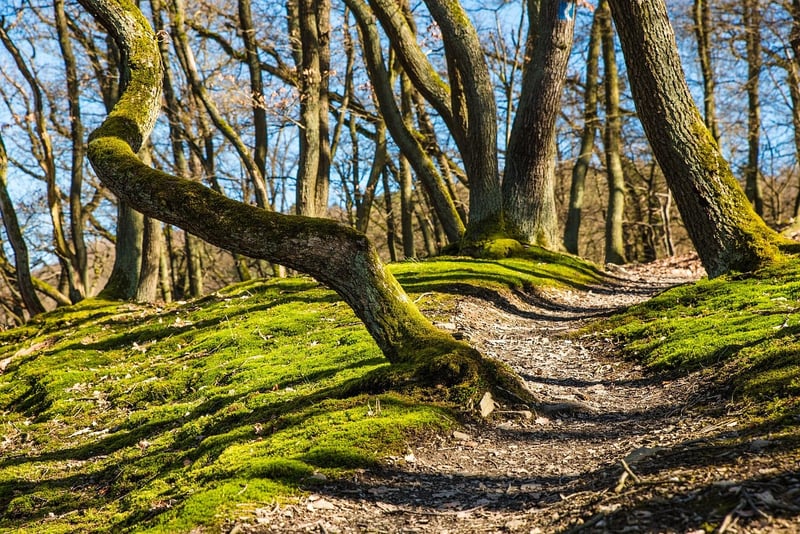 Appalachian Trail