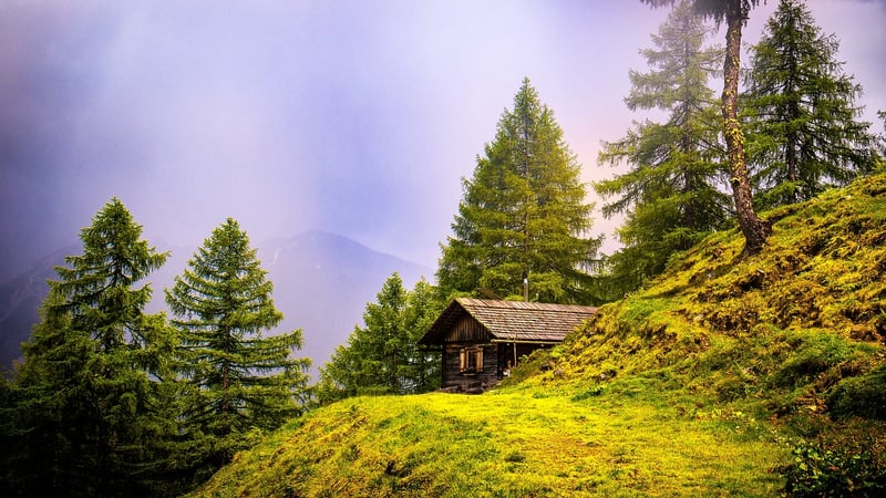 Rustic Wooden Cabin in the Woods