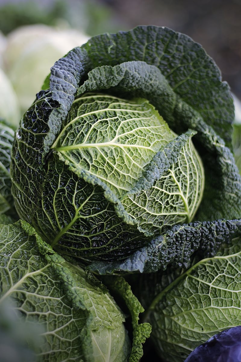 Farm Fresh Vegetables